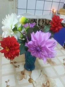 IMG-20171018-WA0010