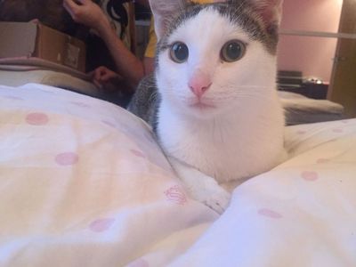 IMG-20171206-WA0002