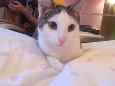 IMG-20171216-WA0000