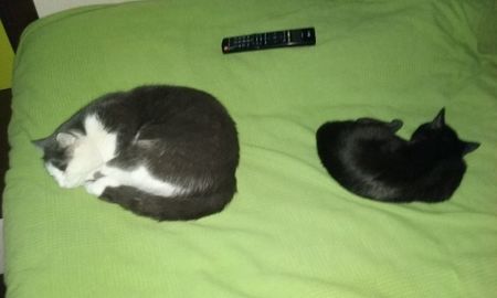 Relax in duet