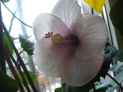 P1360101