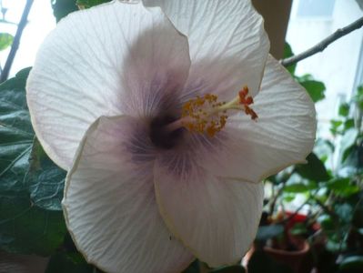 P1360105