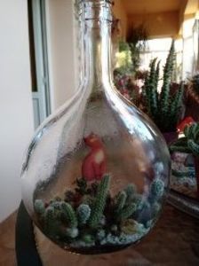 Mini-ecosistem cu cactusi in sticla; Sticla cu bautura a fost primita de Paul la ziua lui de nastere in iulie 2017 si , dupa ce au baut-o , m-am gandit sa o imortalizez astfel ...
