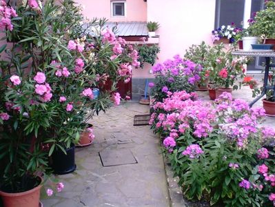 IMG00340