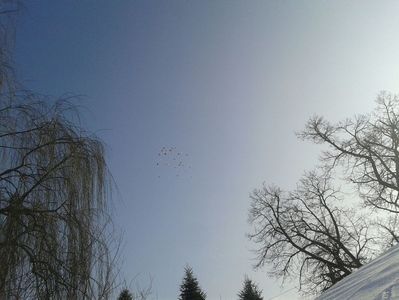 IMG-20180116-WA0048