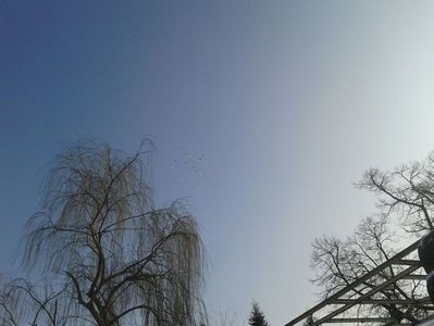 IMG-20180116-WA0050