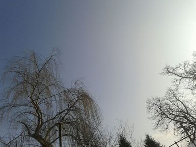 IMG-20180116-WA0052
