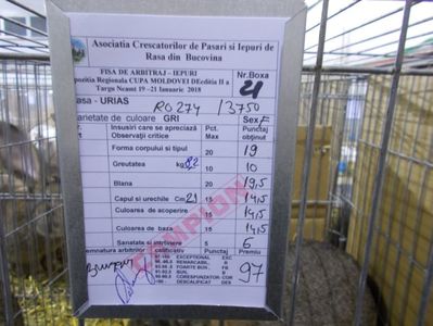 Cupa Moldovei 2018