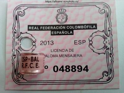 ESP BAL RFCE 2013
