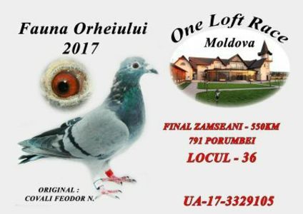 Norie 36 Finala fauna orheiului Md; Ukr 3329105
