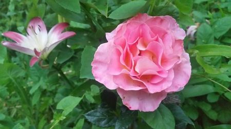 20170611_212054