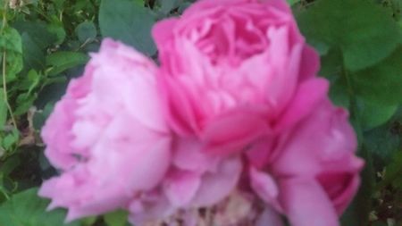 20170611_212221