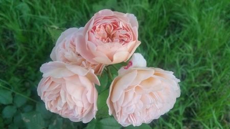 20170615_205313