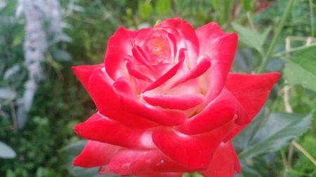 20170615_210556