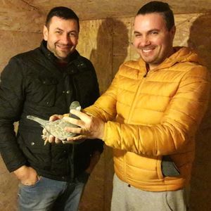 La cumpărături