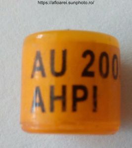 AU 2009 AHPI