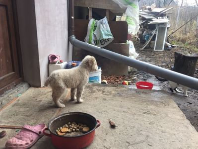 7EBE7FD4-C3D3-43C3-81C5-D2152E355488