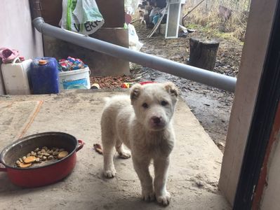 F770F05A-263E-4980-97FD-E6410AD0B460