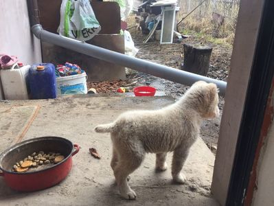 5C2F9F93-7DF0-47CD-8DF7-6005AC94E18C