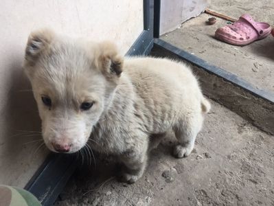 A471F3FC-5B61-4230-BB1E-9B50BD6ED483