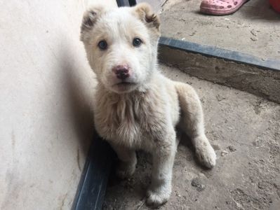 72C2259A-6B58-45D3-B31D-B23EFD6A2E81