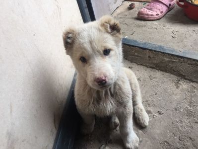 F23316F8-60FA-483D-9FF9-A0A1299CCBDB