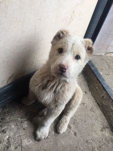 A30BF27B-0BFF-4EFC-AF61-65779AB64DDA