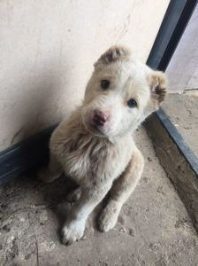 BDAD3A73-D474-49C0-A48F-F022798DC9D4