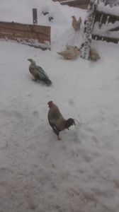 20180208_150958(0)