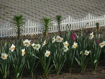 2012_fl primavara_20