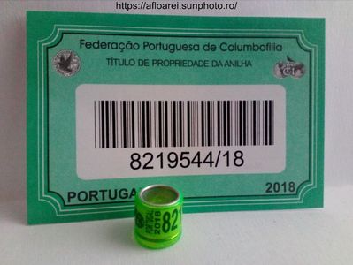 PORTUGAL 2018