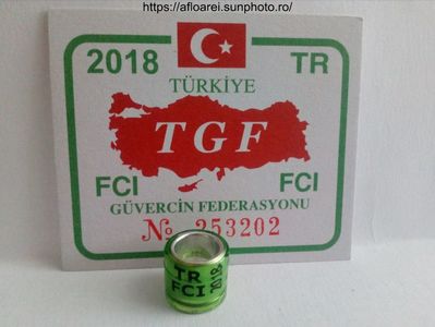 TR FCI 2018