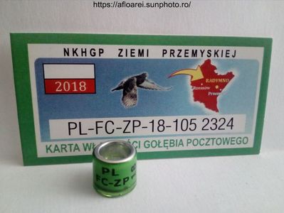 PL FC-ZP 18