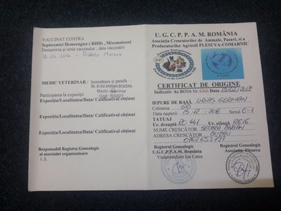 Certificat de Origine față