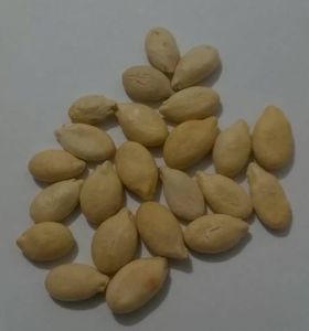 Benincasa Dovleac de ceara (comestibil) seminte