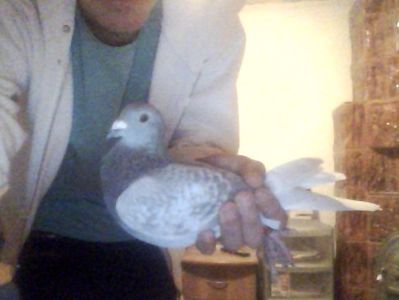 Snapshot_20171030_10