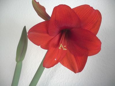 WIN_20180222_094619