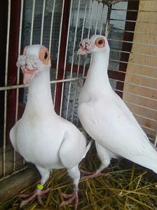 Photo1374