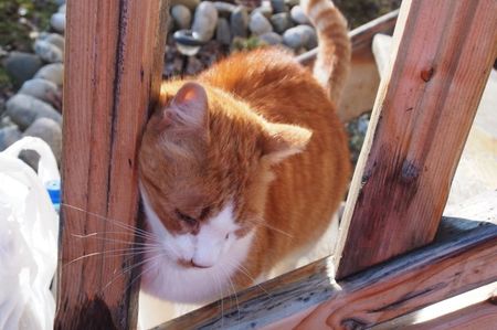 Fratiorul ... Milogului ...; 10.02.2018
