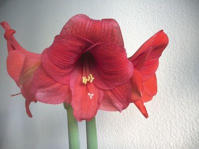 WIN_20180228_080042