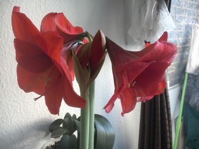WIN_20180228_080206