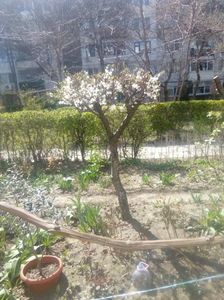 Grădinița mea - 31 martie 2017