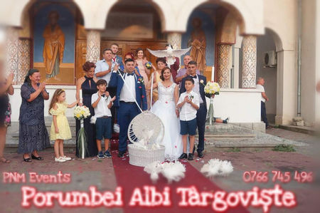 Porumbei albi nuntă; Porumbei albi nuntă Dâmbovița 0766 745.496
