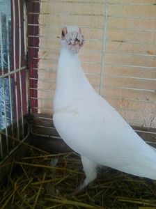 Photo1386