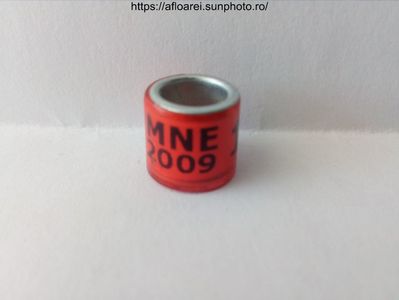 MNE 2009