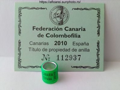 FCC CANARIA ESPANA 2010