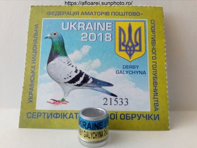 UKRAINE DERBY GALYCHYNA 2018