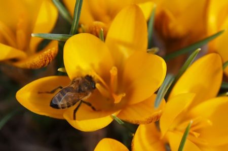 Primii vizitatori; 10.03.2018
