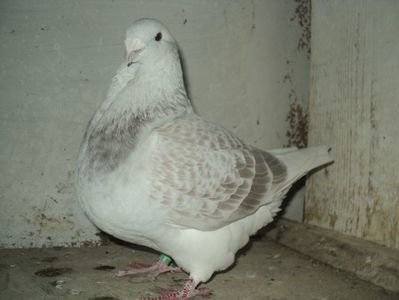 110349812_RHUZXAF3