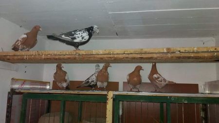 received_1567069050076755